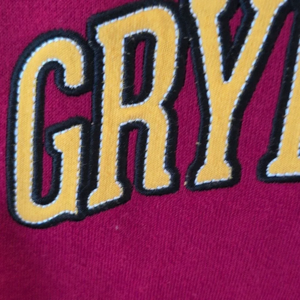 Universal Studios Harry Potter Gryffindor Kids L Pullover Fleece Crew Sweatshirt